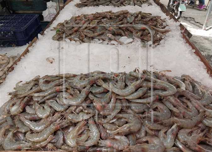 دراسة جديدة تربط فيروس الجمبري بالتهاب العين المتكرر