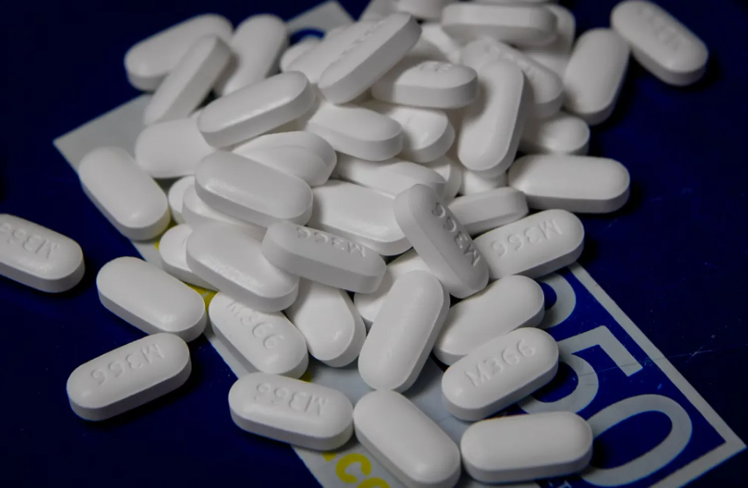 دراسة جديدة تكشف مخاطر مذهلة لنبات القرطوم