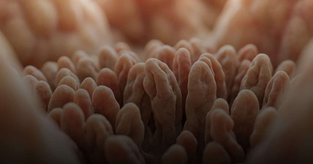 بطانة الأمعاء: سبب خفي وراء نقص الفيتامينات المزمن