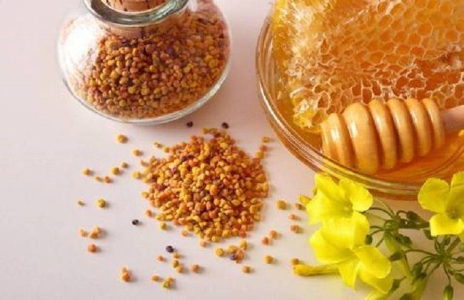 غذاء ملكات النحل يعالج خلايا الكبد التالفة