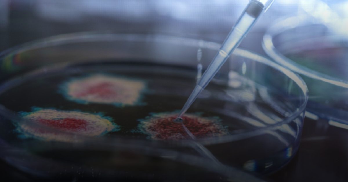 رذاذ الخريف العجيب: لقاح واحد لهزيمة فيروسات الشتاء والحساسية