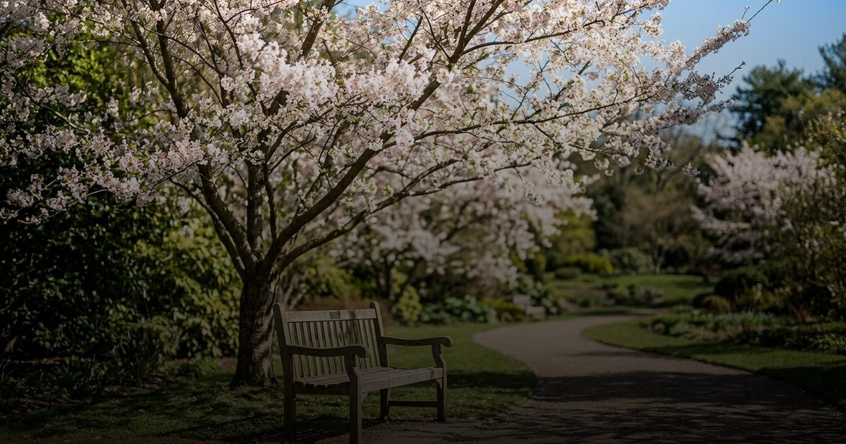 خبراء الصحة يحذرون من الاكتئاب الربيعي العكسي وتأثيراته