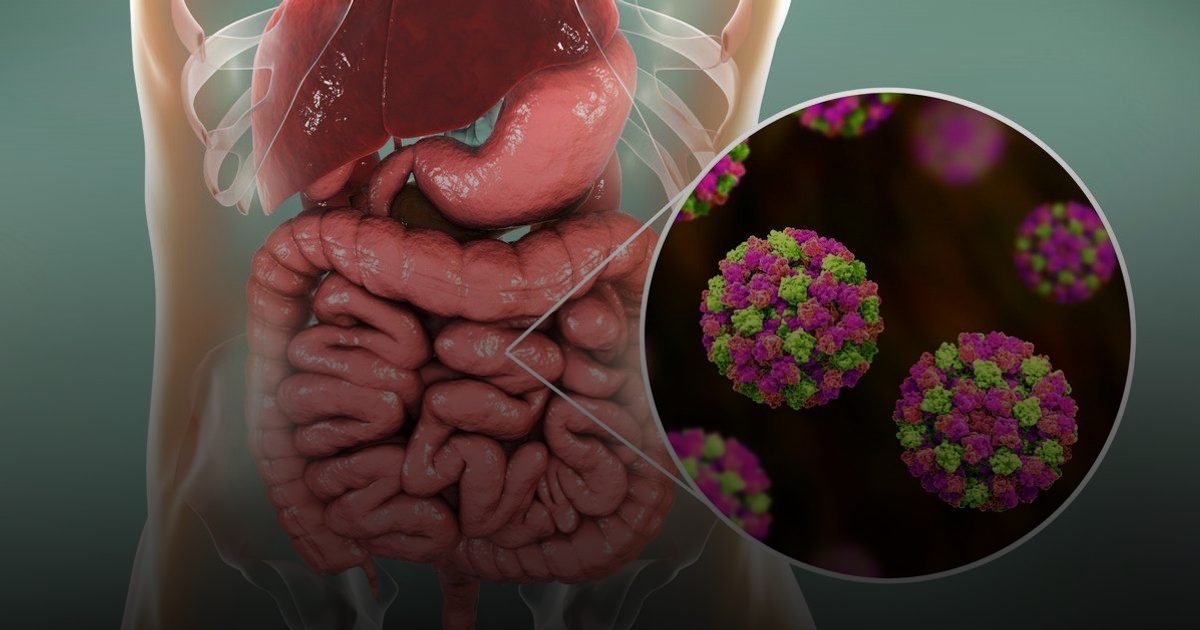 فيروس "نورو" المسبب الأول للنزلات المعوية وذروته خلال شهر أبريل