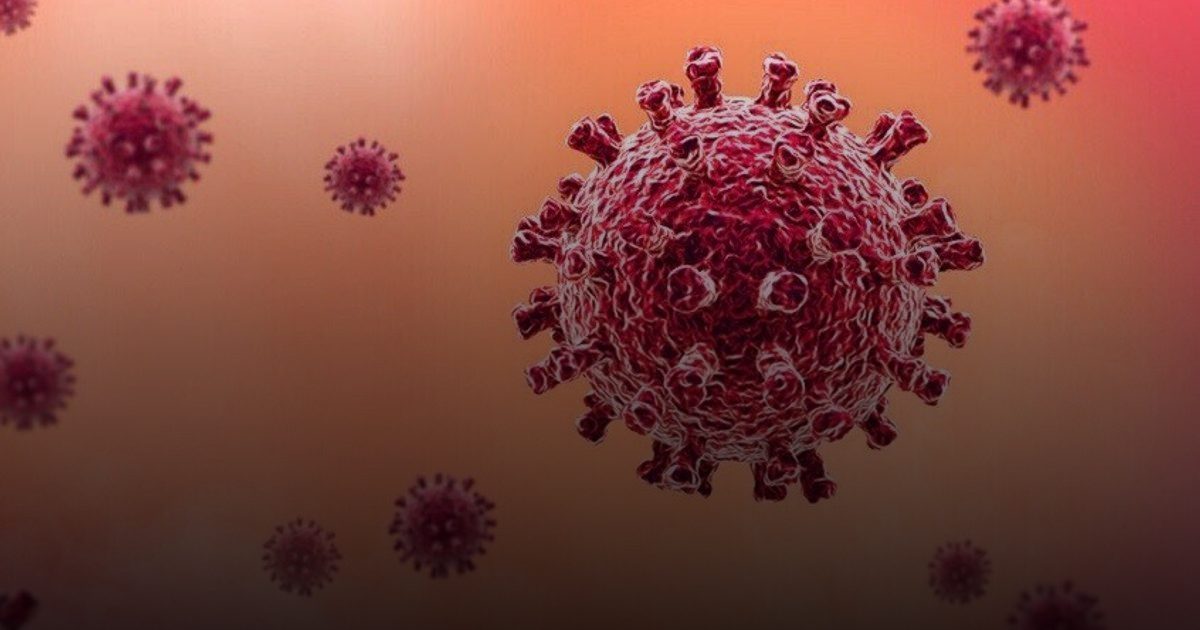 اكتشاف بصمة خلوية تكشف سر المعاناة المستمرة لمرضى "كوفيد طويل الأمد"