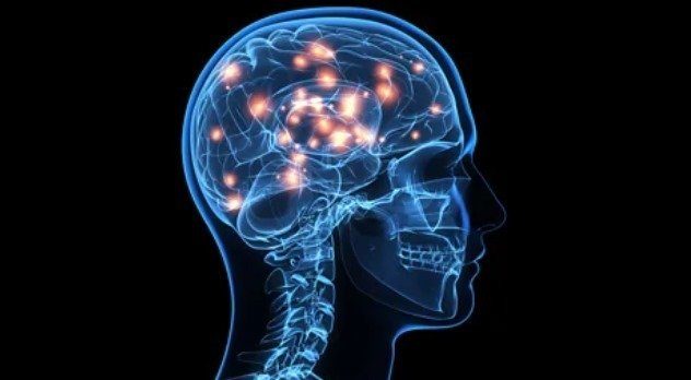 علماء يكشفون كيف يعزز شرود الذهن قدرة الدماغ على التعلم