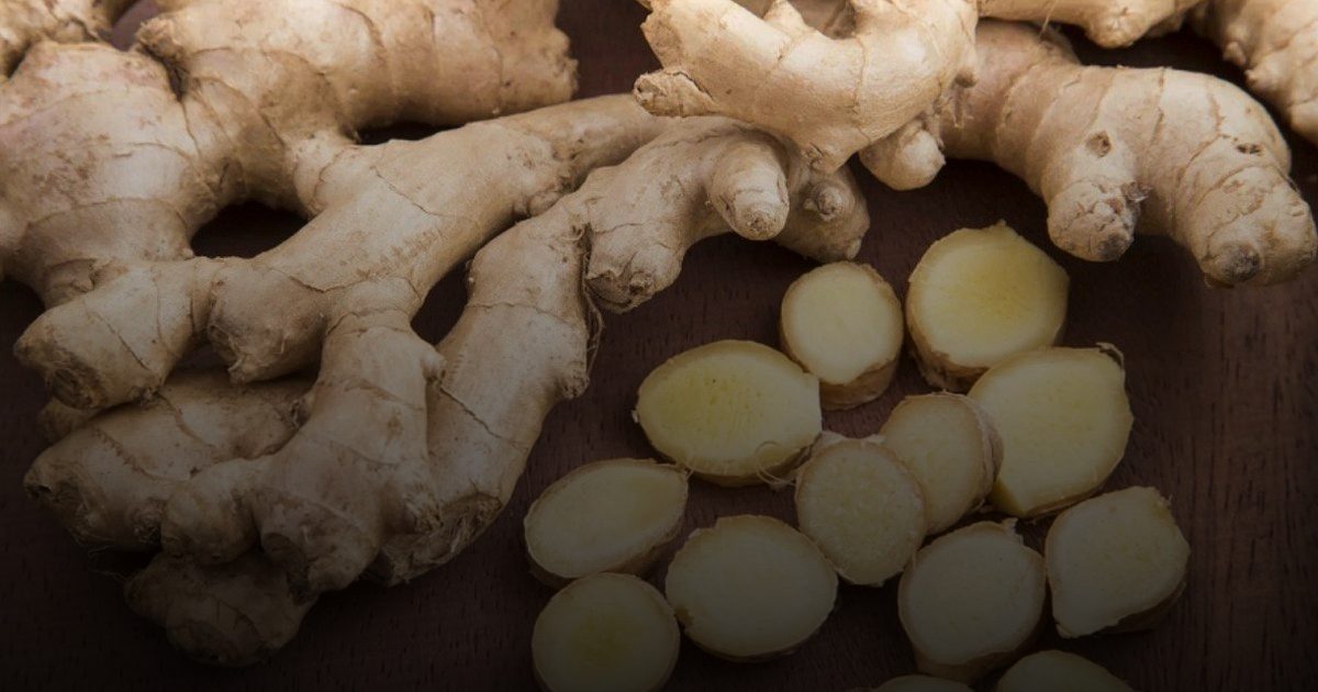 الزنجبيل يشعل مواقع التواصل الاجتماعي: بين فوائده الجمة ومحاذير استخدامه