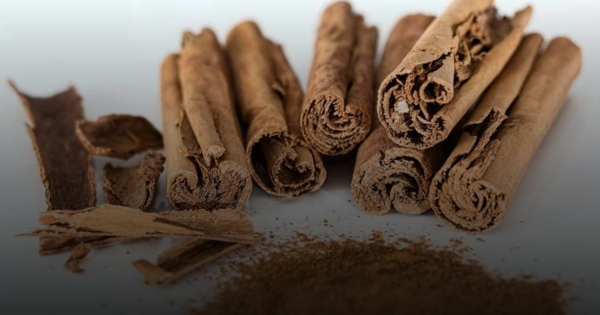 " القرفة" قد  تُبطل فعالية الأدوية وتضر بالصحة .. تحذير عالمي