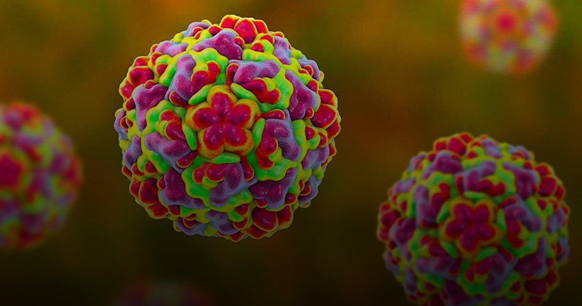 استشاري: 6 علامات تميز "الراينو فيروس" المسبب لنزلات البرد