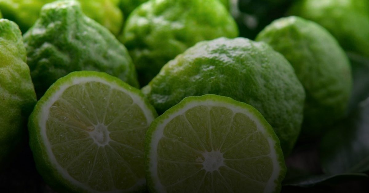 خبير تغذية: البرغموت يخفض الكوليسترول الكلي وكوليسترول البروتين الدهني