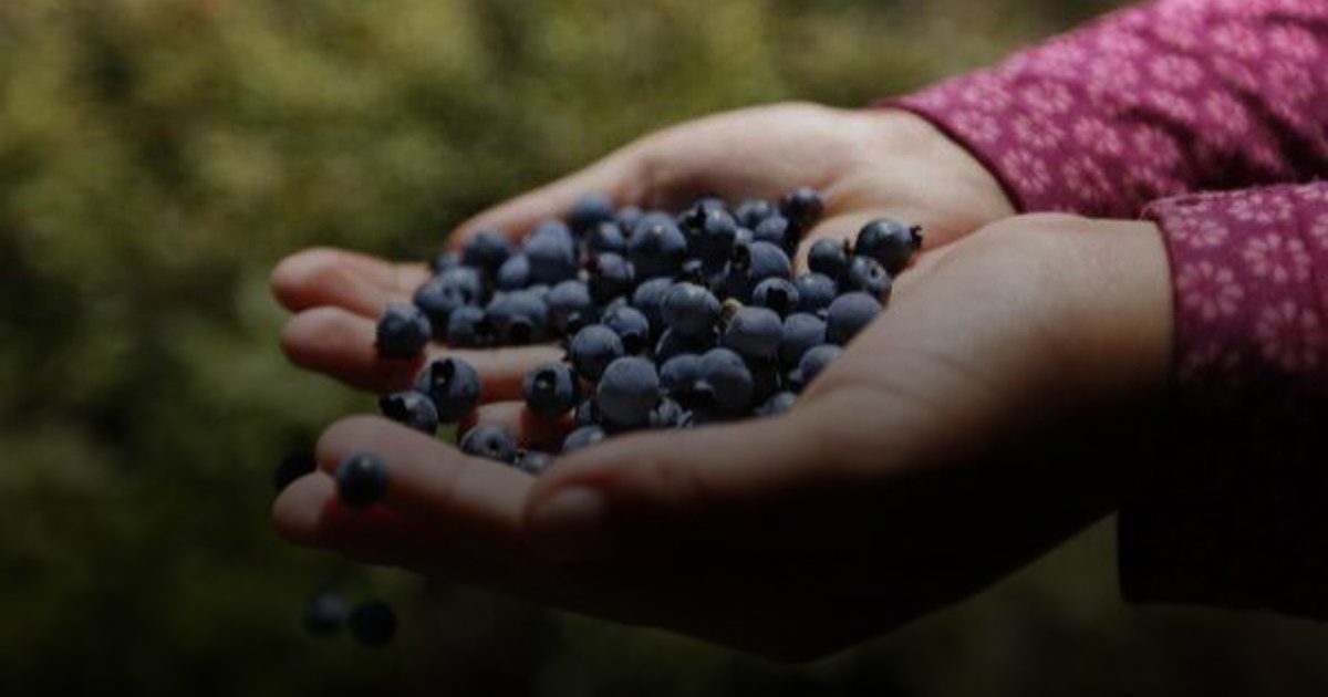 أطعمة غنية بالألياف لعلاج مرض السكري من النوع الثاني