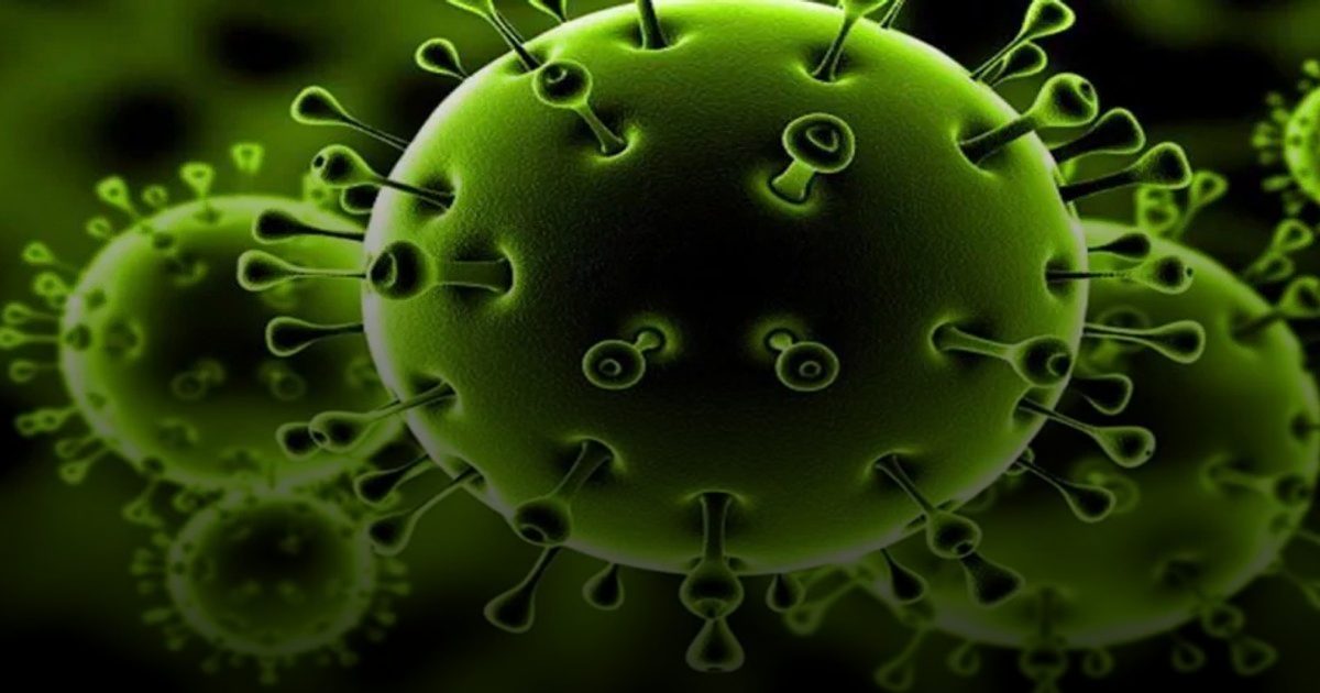 3 فيروسات تشكل خطراً على الصحة العامة 2026