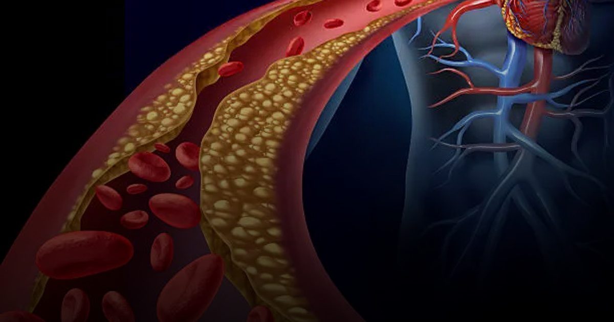 5 حقائق طبية تحسم الجدل حول مخاطر التدخين على القلب والأوعية الدموية