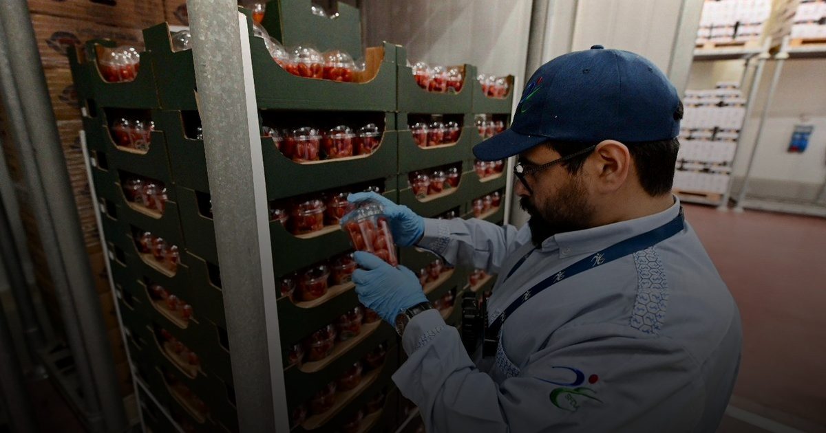 تكثيف الرقابة على المستودعات ضمن خطة شاملة استعدادًا لموسم الحج