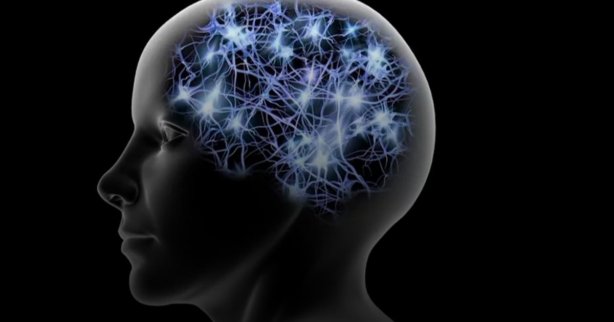 اكتشاف علمي واعد يحمّل الدماغ مفتاح الشفاء من السكري