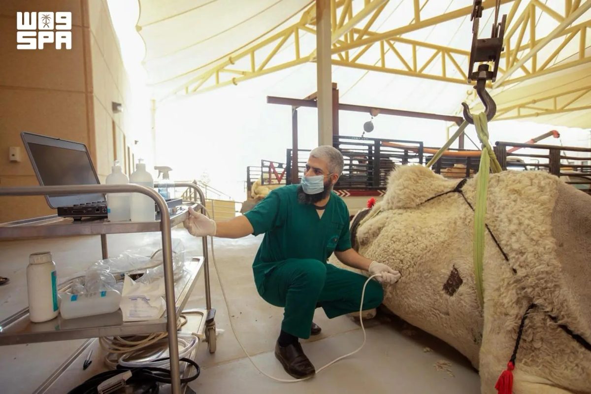 المستشفى البيطري الجامعي بجامعة القصيم: رافد لتحسين القطاع البيطري