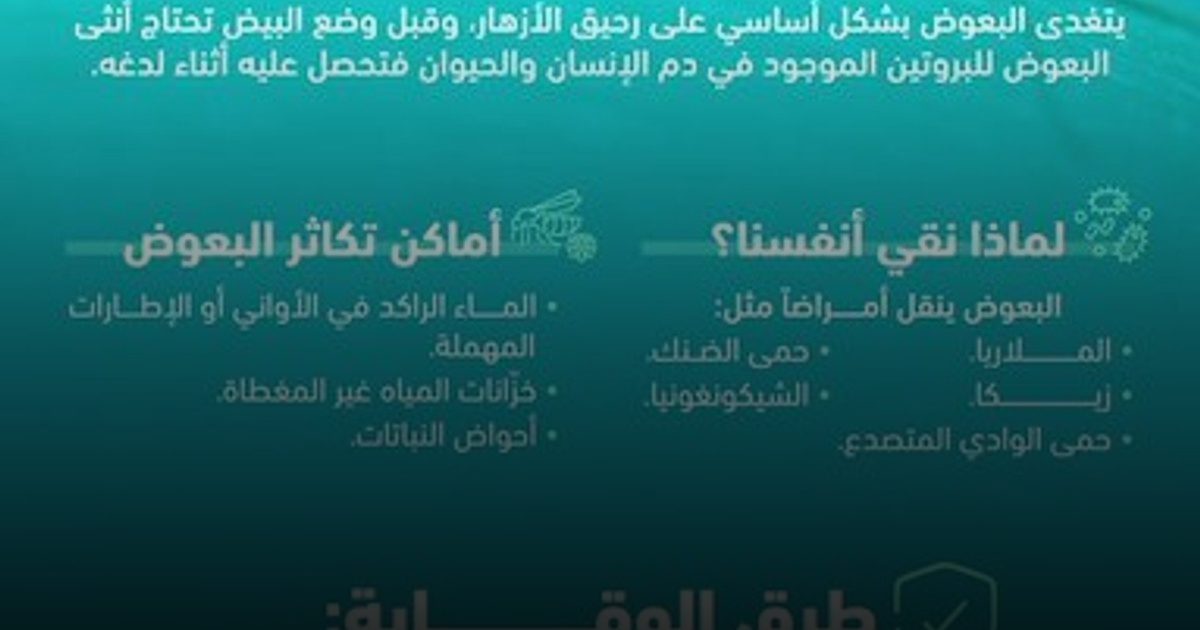 البعوض ليس إزعاجاً فقط... بل ناقل لعدة أمراض!