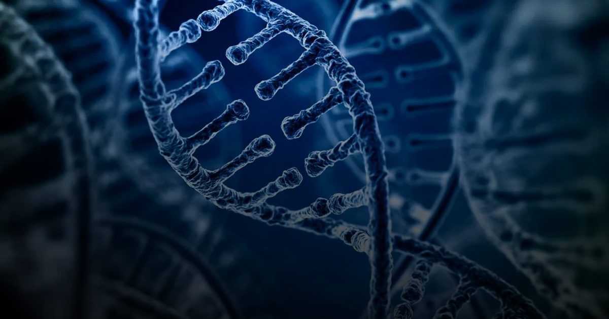 نظام هندسي مذهل يتحكم في بدايات الحياة