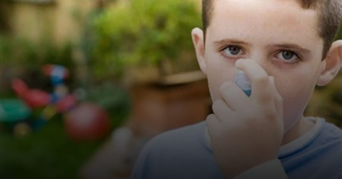 عشبة أدهاتودا علاج طبيعي للربو