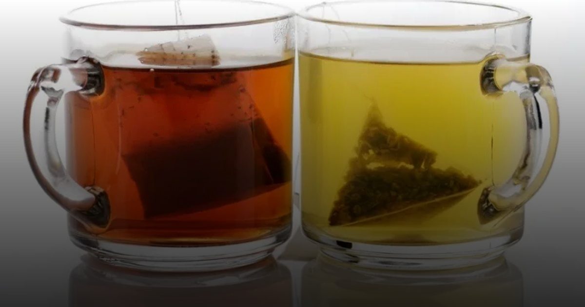 الشاي الأخضر أم الأسود.. أيهما يمنح جسمك حماية أكبر؟