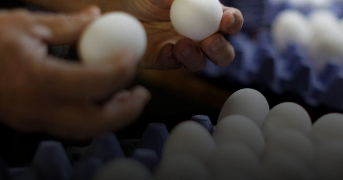 دراسة: أغشية قشر البيض تعزز نضارة البشرة وكثافة الشعر