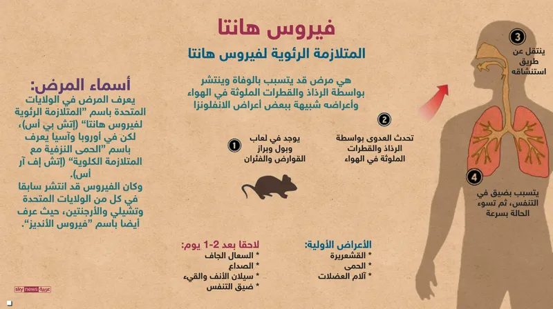 منظمة الصحة: فيروس هانتا لا يمثل خطر جائحة عالمي