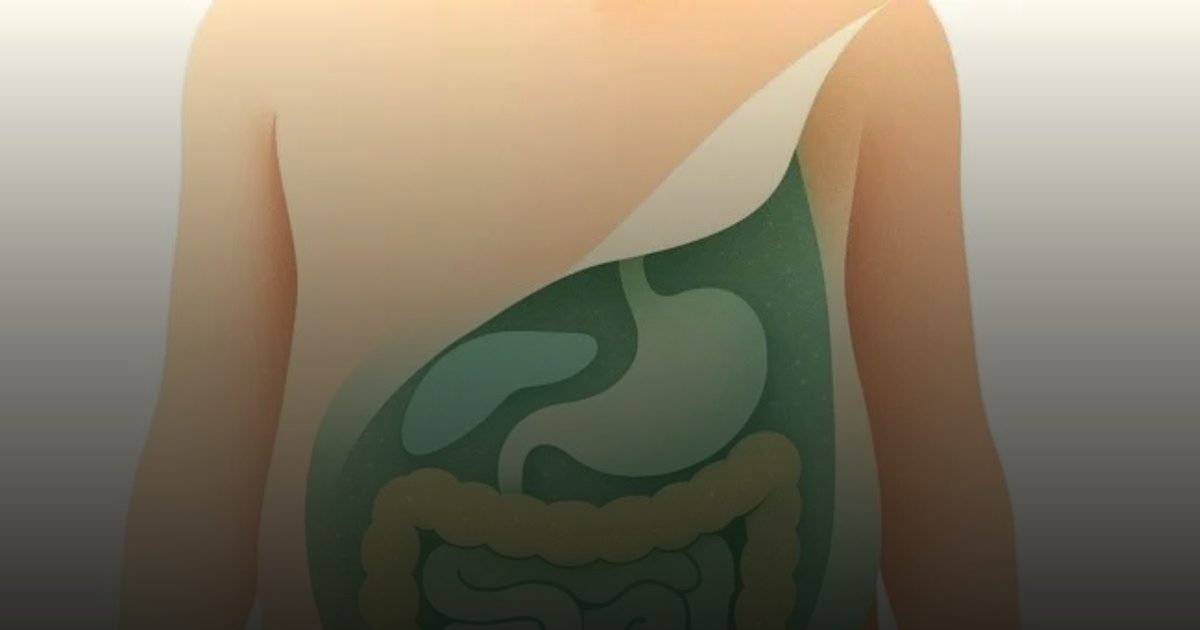 دراسة: دهون البطن تسرّع شيخوخة القلب