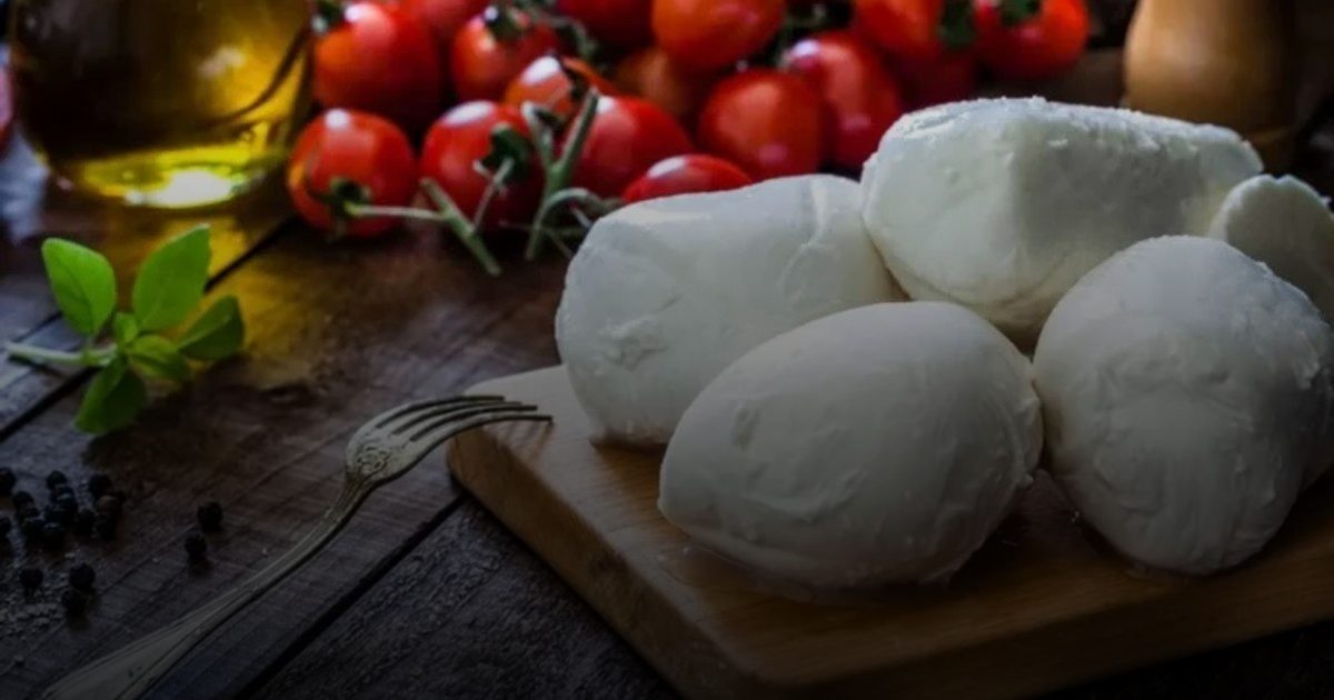 هل يحمي الجبن كامل الدسم عقولنا؟.. دراسة تربط "الألبان الدسمة" بخفض خطر الخرف