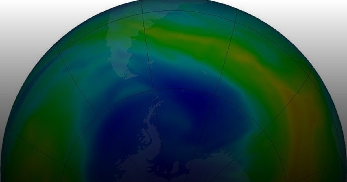 التزاماً بـ "بروتوكول مونتريال".. "البيئة" تؤكد لـ "التجارة" ضرورة خفض المواد الضارة بالأوزون 67.5% في 2025