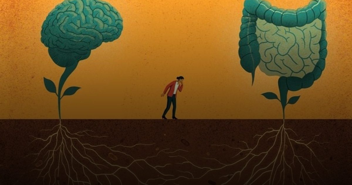 14 حالة صحية ترتبط بمرض الزهايمر وباركنسون