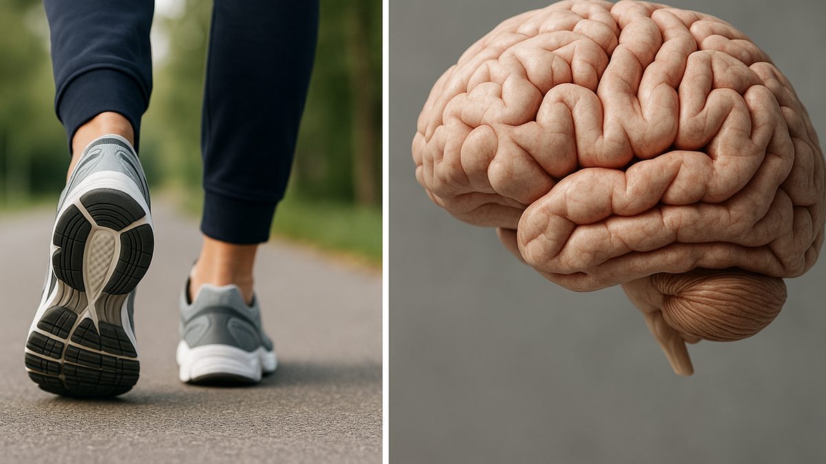 المشي اليومي يقلل خطر الإصابة بالخرف بنسبة مذهلة