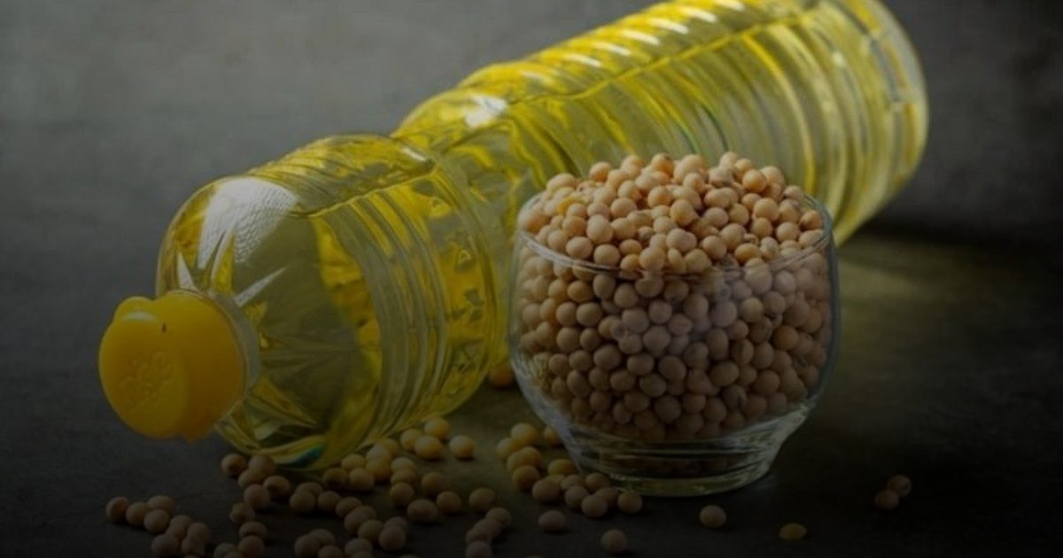زيت الصويا وانتشار السمنة.. حقيقة أم وهم؟