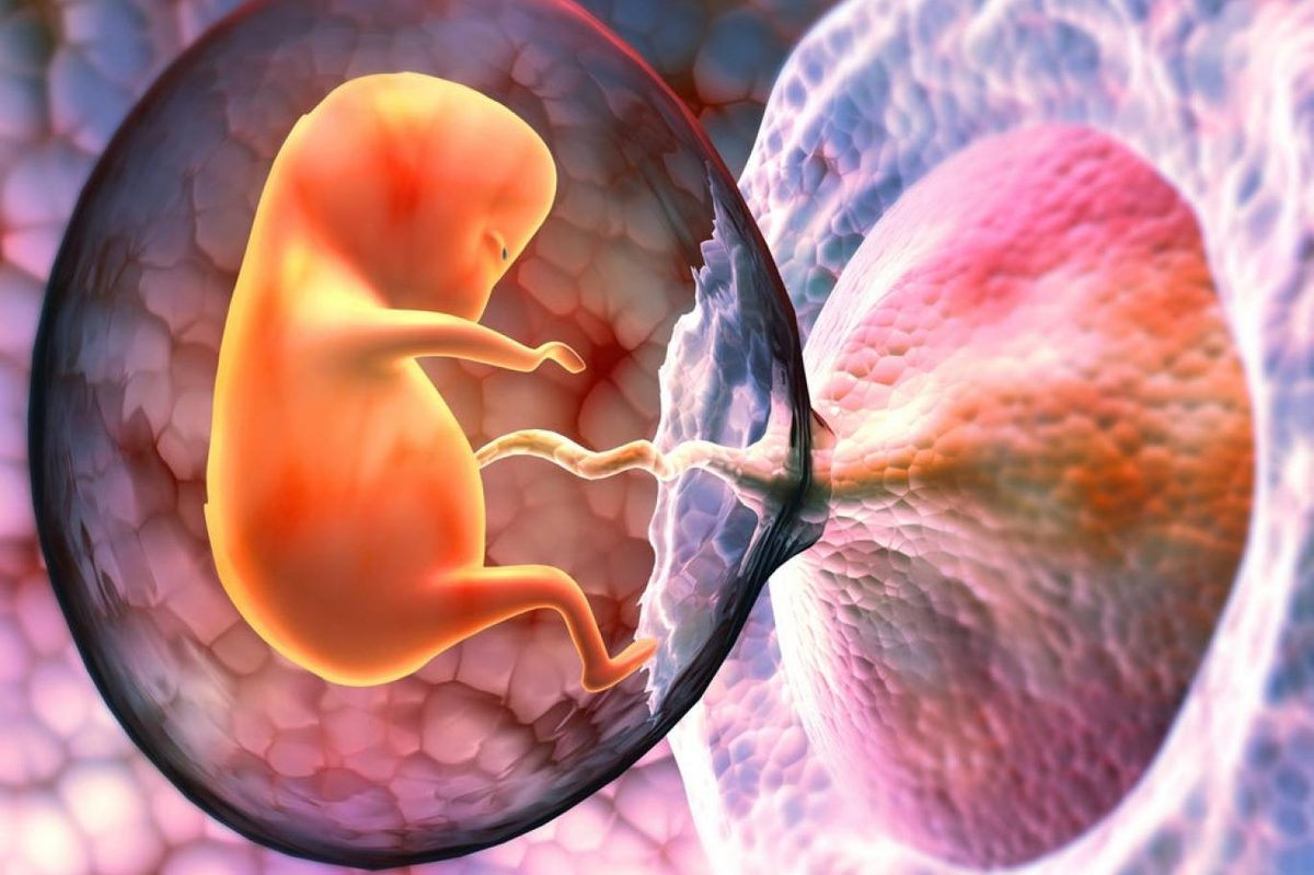 اكتشاف خطير: البلاستيك يتسلل إلى أجنة البشر ويستمر بعد الولادة