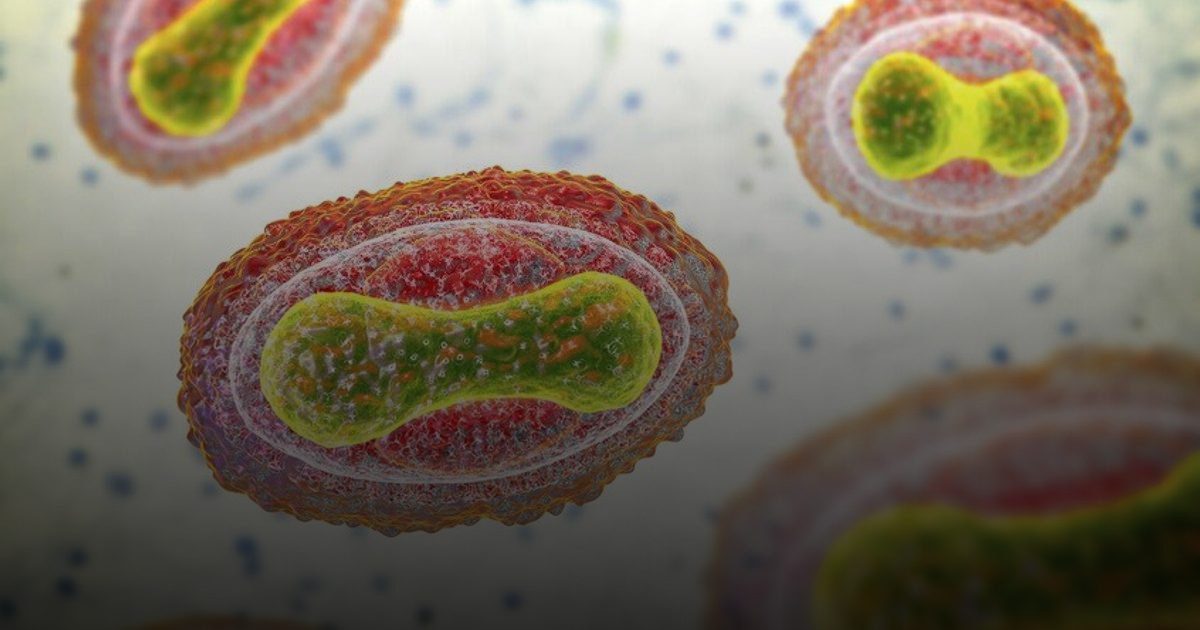 توقف التطعيم منذ 1980 فتح الباب لغزو "جدري القردة" وتحولاته الفتاكة