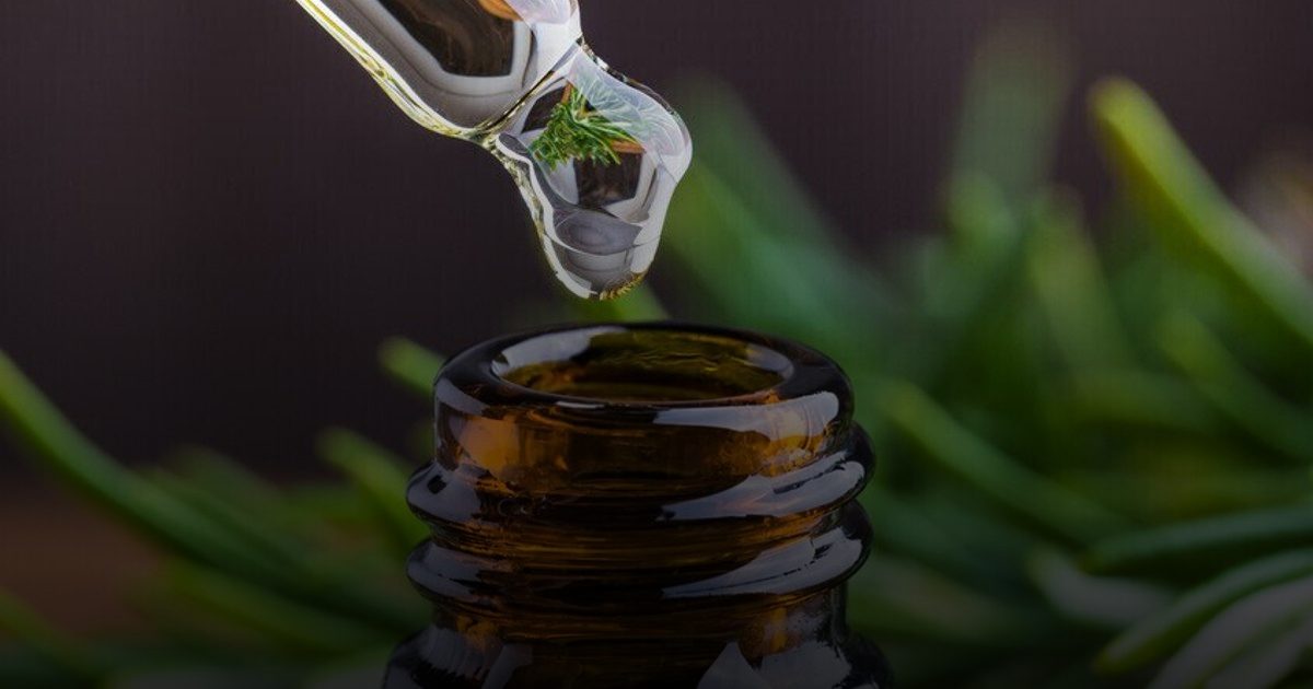 "إكليل الجبل".. حارس الذاكرة الجديد في مواجهة الآثار الجانبية للعلاج الكيميائي