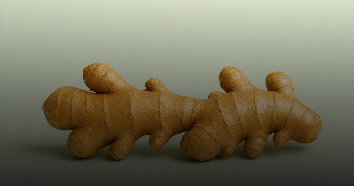 الخضيري يؤكد الفوائد العلمية للزنجبيل ويدعو لتجاهل المشككين