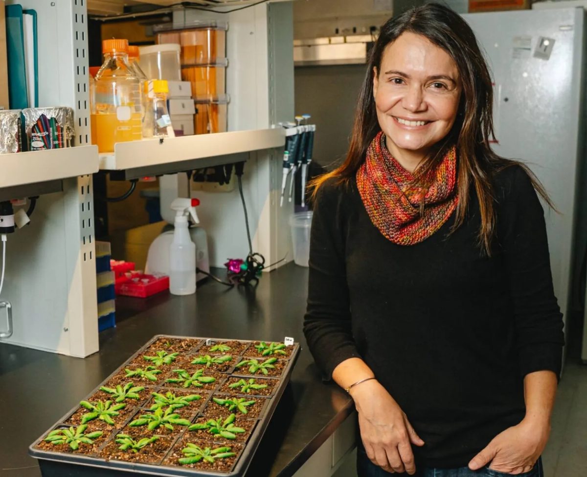 ثورة زراعية نظيفة: اكتشاف جيني يمنح النباتات حصانة مذهلة