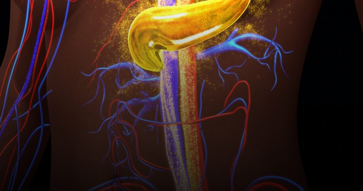 خطة الهروب من السكري.. خلايا تغير هويتها لتنجو