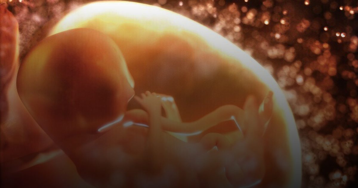 إنجاز طبي تاريخي: الخلايا الجذعية تنجح في عكس تشوهات الدماغ لدى الأجنة