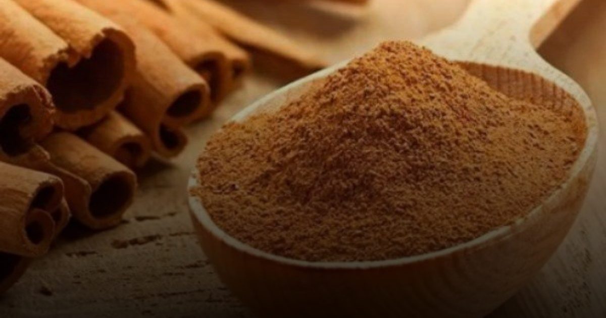 "مدفأة بيولوجية".. لماذا يوصي الأطباء بشرب القرفة يومياً في الشتاء؟