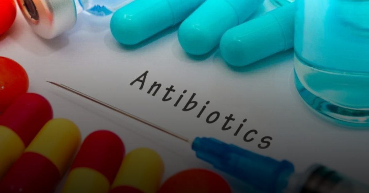 السمنة تُضعف فاعلية المضادات الحيوية وتؤثر على العلاج