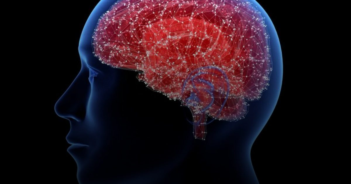 أطعمة أرجوانية تحمي الدماغ من التوتر والشيخوخة المبكرة