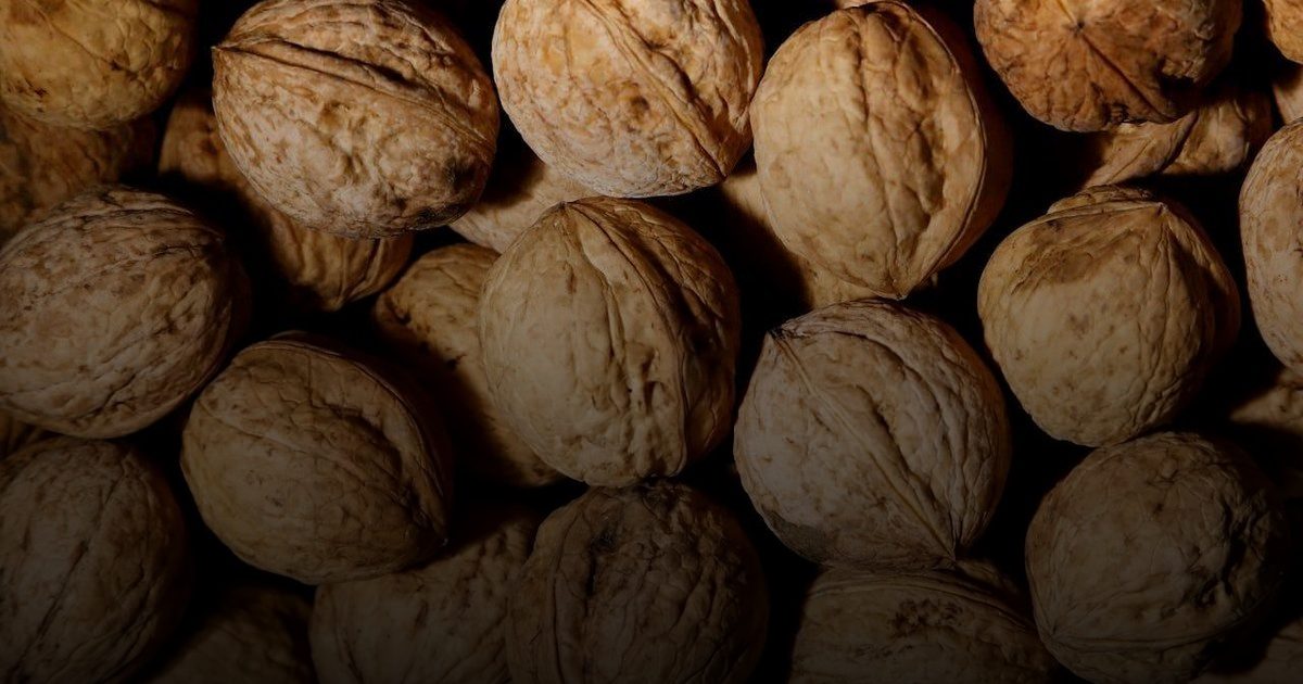 فوائد صحية مذهلة للجوز.. يخفض ضغط الدم ويكافح الالتهابات ويثبط نمو سرطان الثدي