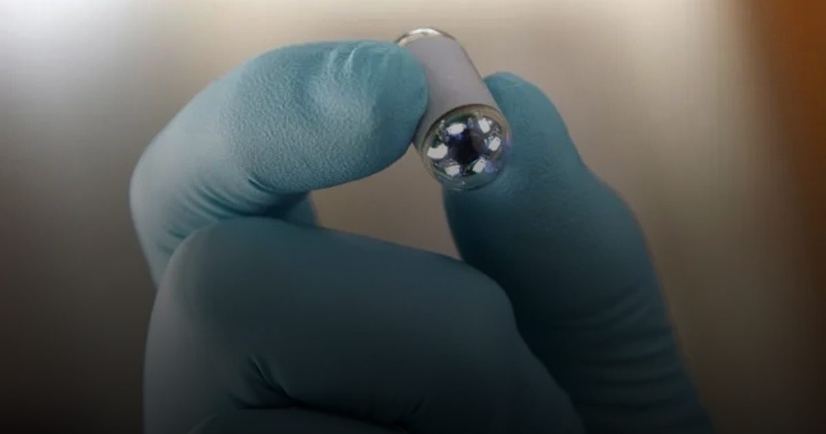 كبسولة ضوئية لدراسة أعصاب "الدماغ الثاني"