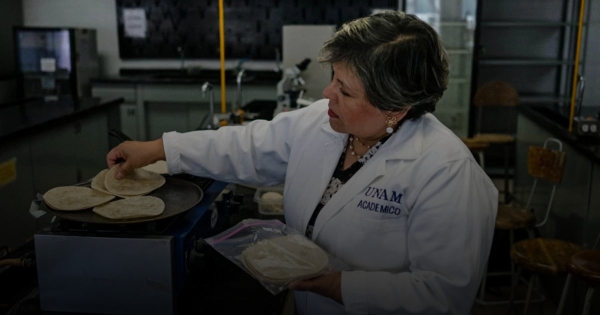 ابتكار نوع من خبز التورتيّا في المكسيك يعالج سوء التغذية