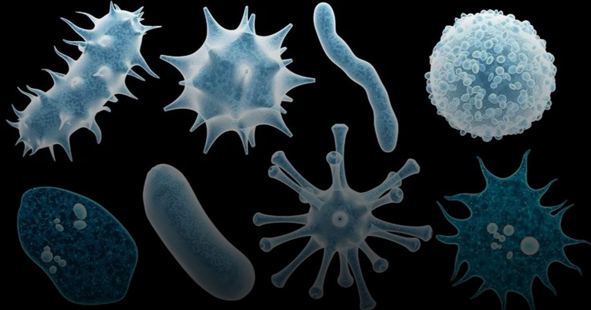 3 فيروسات تضع العالم في حالة تأهب قصوى