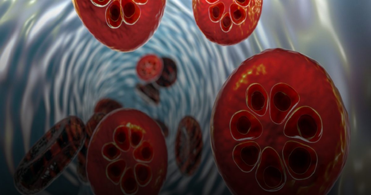 اختراق تاريخي: "GanLum" أول علاج جديد للملاريا منذ عقود يواجه مقاومة الطفيلي