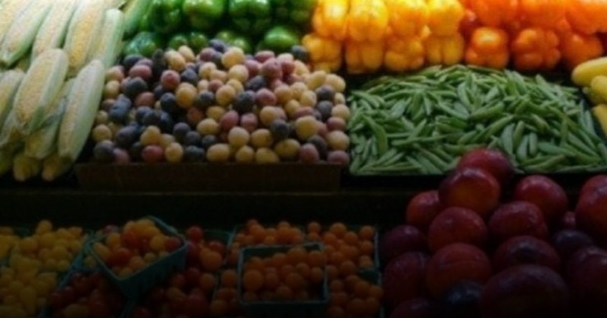 معلومة في كبسولة: الخضروات والفواكه وجبات رئيسية مع الاقتصاد في اللحوم