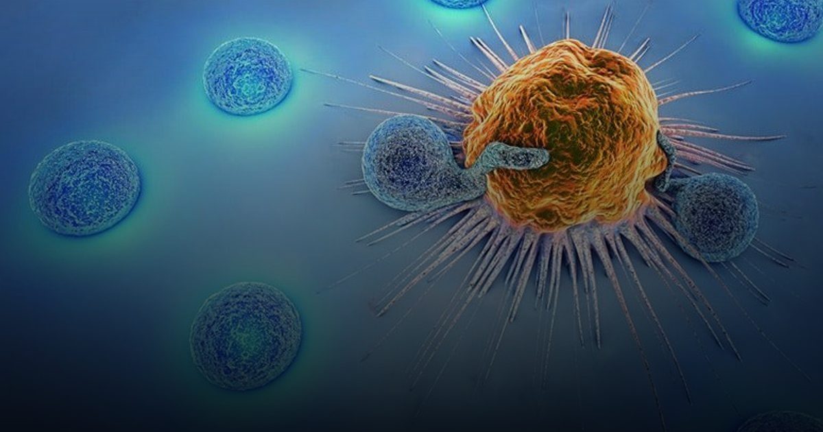 70% نسبة النجاة.. "السرطان" يتراجع أمام الطب