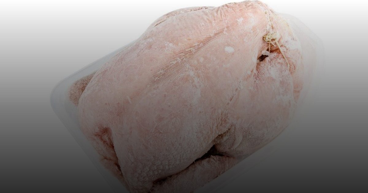 حظر دجاج "سوزانا" وتجميد استيراده فوراً