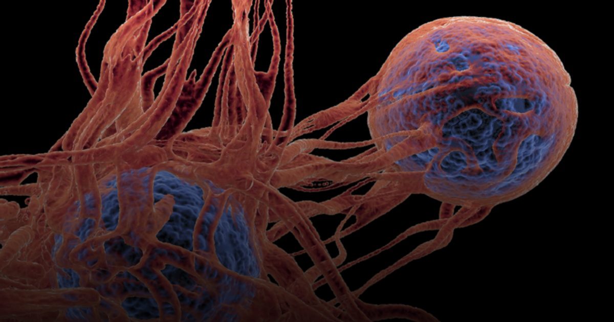 فيروس الورم الحليمي يتسلل إلى الحمض النووي ويحفز سرطان الجلد مباشرة